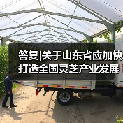 答复|关于山东省应加快打造全国灵芝产业发展高地的建议(图4) 答复|关于山东省应加快打造全国灵芝产业发展高地的建议(图4)