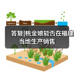 答复|桃金娘能否在福建当地生产销售(图4) 答复|桃金娘能否在福建当地生产销售(图4)