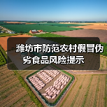 潍坊市防范农村假冒伪劣食品风险提示(图2) 潍坊市防范农村假冒伪劣食品风险提示(图2)