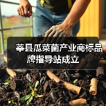 莘县瓜菜菌产业商标品牌指导站成立(图3) 莘县瓜菜菌产业商标品牌指导站成立(图3)