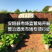 安阳县市场监管局开展整治酒类市场专项行动（图4）