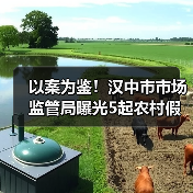 以案为鉴！汉中市市场监管局曝光5起农村假冒伪劣食品专项整治典型案例（第一批）（图2）