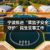 宁波推进“菜篮子安全守护”民生实事工作（图2）