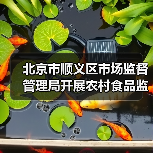 北京市顺义区市场监督管理局开展农村食品监督检查（图3）