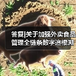 答复|关于加强外卖食品管理全链条数字追根溯源确保外卖食品安全的建议（图4）