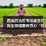 西藏自治区市场监管局民生领域案件查办“铁拳”行动典型案例（第一批）（图3）