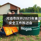 河池市召开2025年食品安全工作推进会（图3）