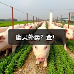 幽灵外卖？查！（图4）