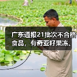 广东通报21批次不合格食品，有奇亚籽果冻、竹节虾、豆芽等（图4）