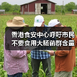 香港食安中心呼吁市民不要食用大肠菌群含量超出法例上限的雪糕（图1）