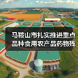 马鞍山市扎实推进重点品种食用农产品药物残留突出问题攻坚治理(图1) 马鞍山市扎实推进重点品种食用农产品药物残留突出问题攻坚治理(图1)