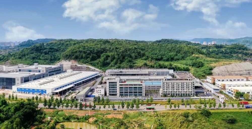 重庆老火锅、红酸汤……今年最抢手的火锅底料产品大揭秘(图2)